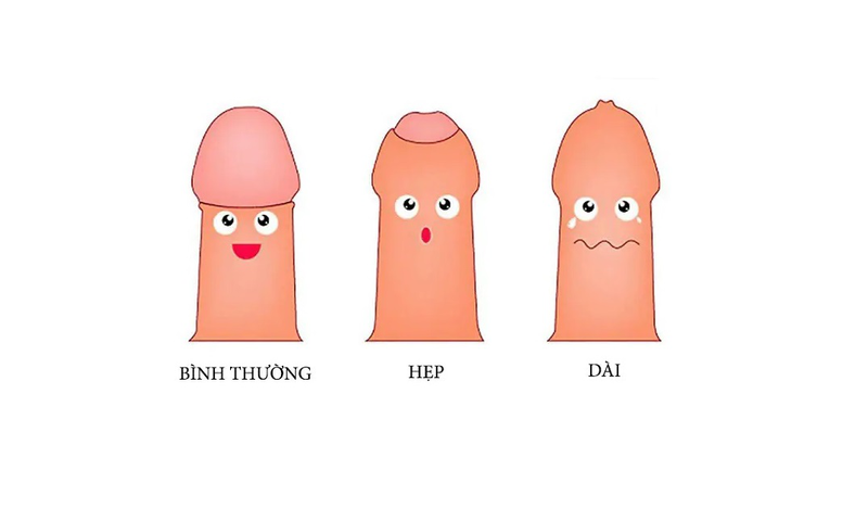 Dai hep bao quy dau 1 4ddba05bb4