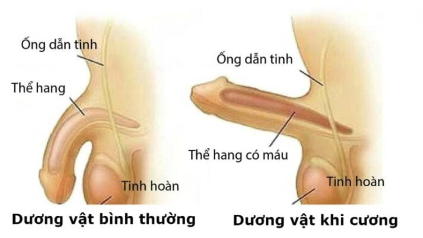 &#8220;TRÊN BẢO DƯỚI KHÔNG NGHE&#8221;- ĐỂ BÁC SĨ CHỈ CÁCH &#8220;NGHE LỜI&#8221; NHƯ XƯA!!!