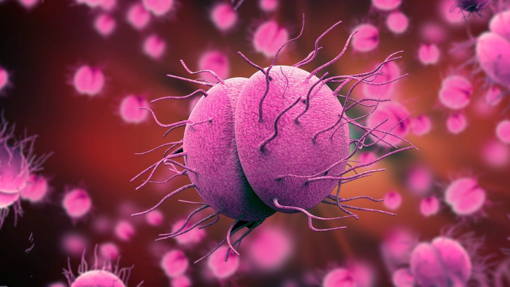 Bệnh lậu có dễ tái phát lại không? Cách phòng ngừa hiệu quả!